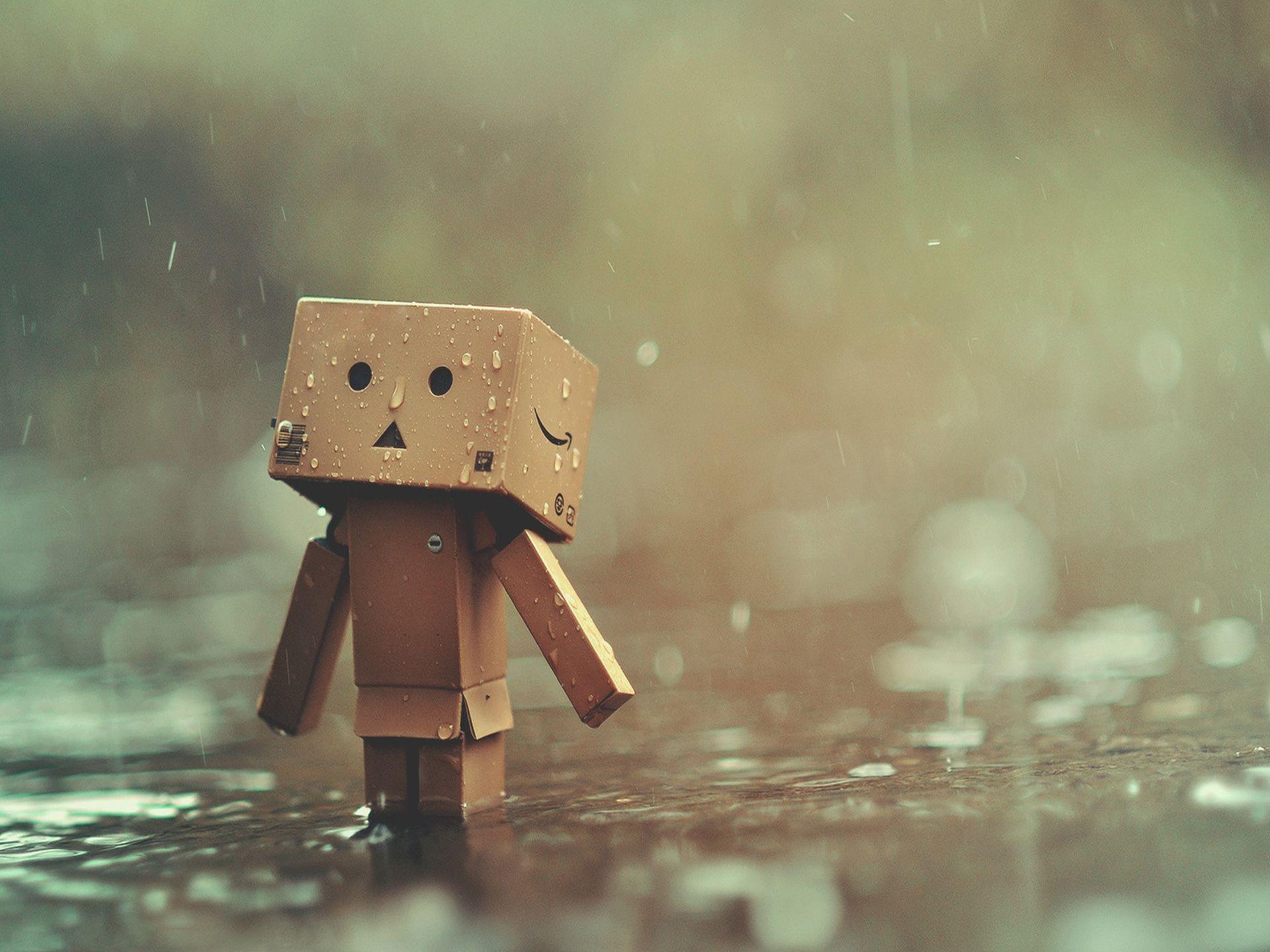 danbo